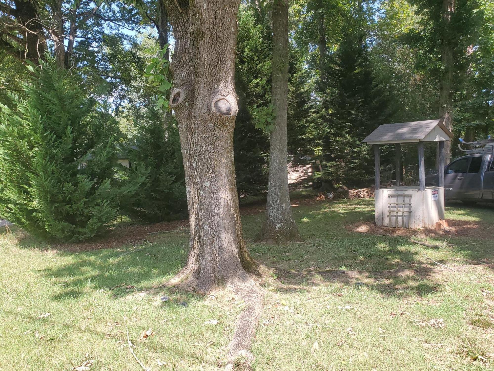 Private Single Level Standalone House Large Lot - 3 Bedrooms Charlotte Exteriör bild